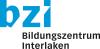 BZI Logo